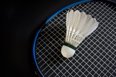 Badminton ekipmanları