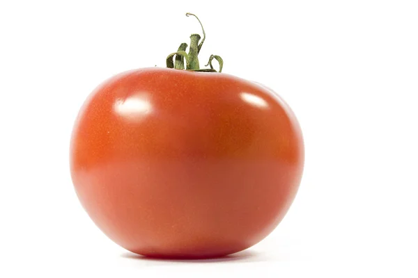 Спелые томаты — стоковое фото