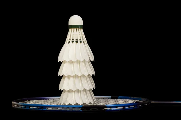 Badminton. Imagem De Stock