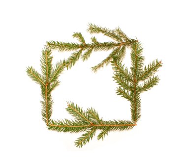 Christmas tree branch clipart