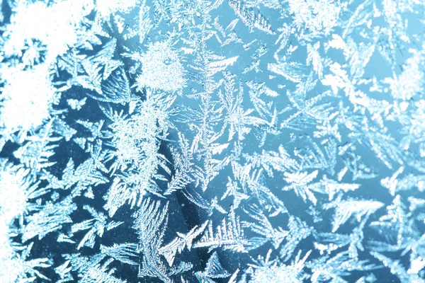 霜の飾り — ストック写真