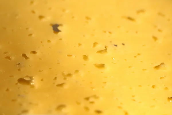 Cheese texture — Φωτογραφία Αρχείου