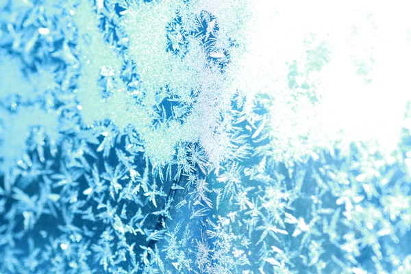 Eine Zierde aus Frost — Stockfoto