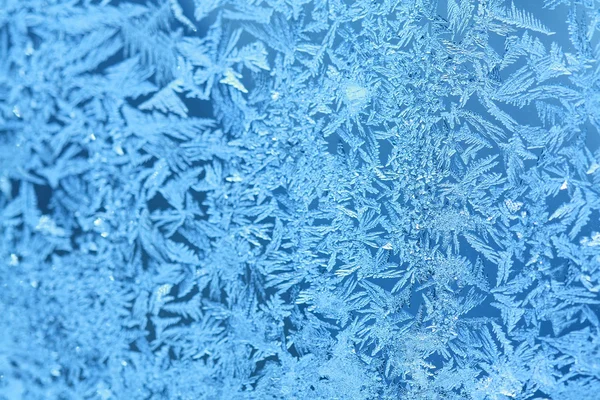 霜の飾り ロイヤリティフリーのストック写真