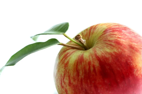 Jablko, zelené listy — Stock fotografie