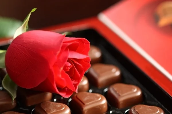 Caixa de chocolates variados e rosa — Fotografia de Stock