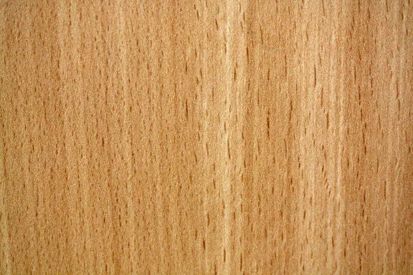 木制质感 图库图片