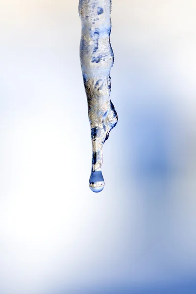 Stock image Icicle