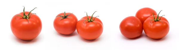 토마토 그룹 스톡 사진