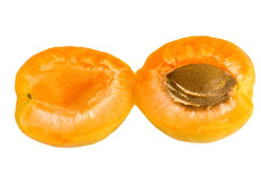Apricot clipart
