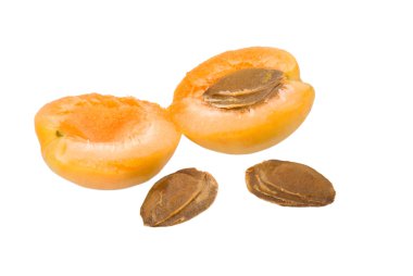 Apricot clipart