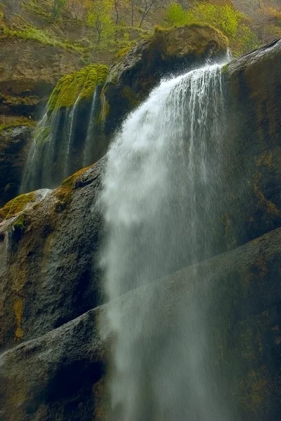 stock image Fall