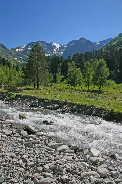 The river in a mountain valley — Stock Photo, Image