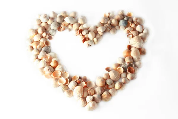 stock image Frame heart of sea shells