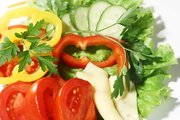 Gericht mit Salat — Stockfoto