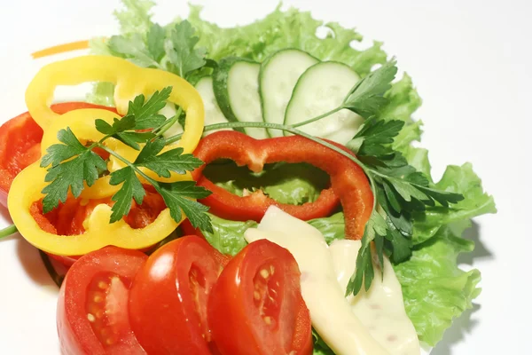 Gericht mit einem Salat aus Käse — Stockfoto