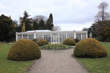 kamelya glasshouse