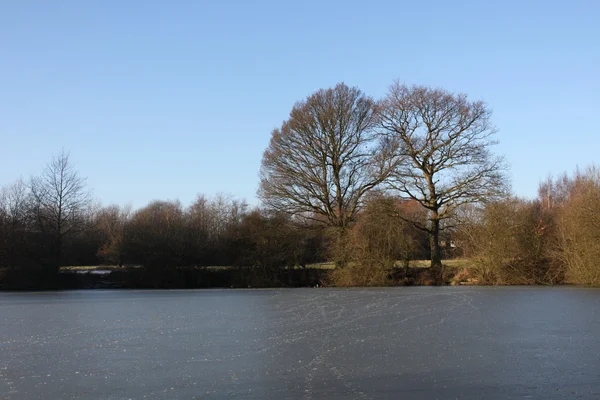 Ein zugefrorener See — Stockfoto