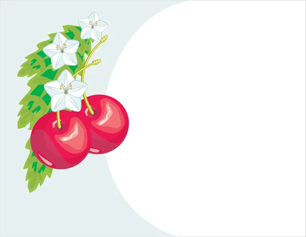 フルーツと花の背景 — ストックベクタ