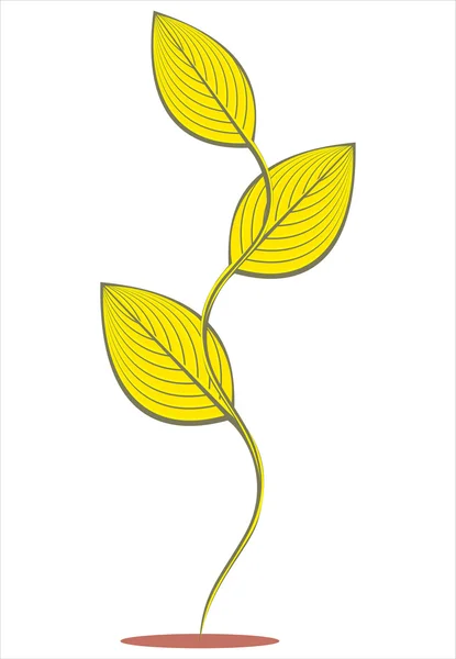Arany növény szimbólum — Stock Vector