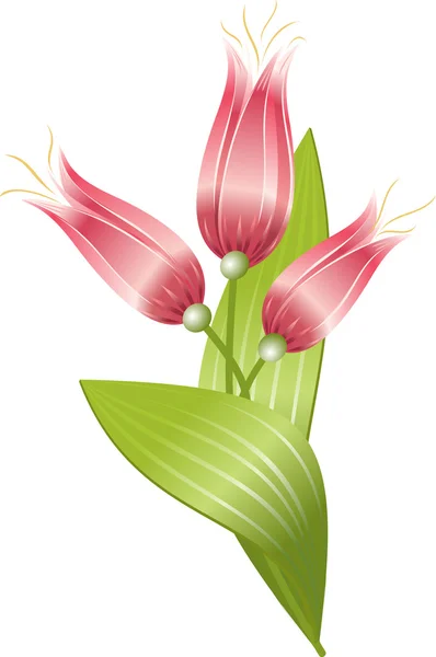 Fleurs - lis — Image vectorielle