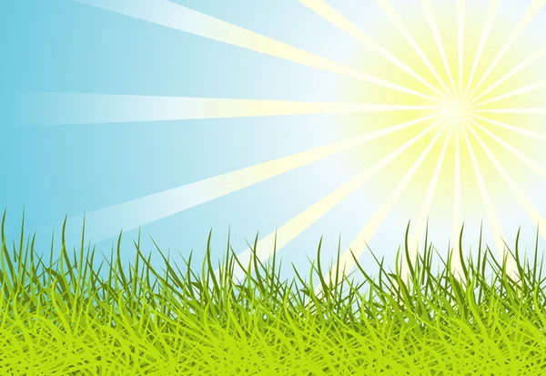 太阳和草背景 — 图库矢量图片