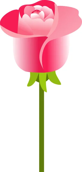 美色のバラ — ストックベクタ