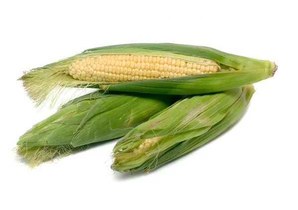 Warzywa kaczan kukurydzy na białym tle — Zdjęcie stockowe
