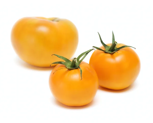 Legumes de tomate isolados sobre branco — Fotografia de Stock