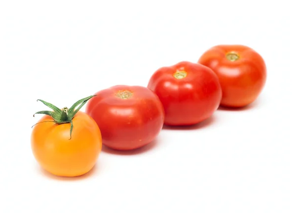 白で隔離されるトマト野菜 — ストック写真