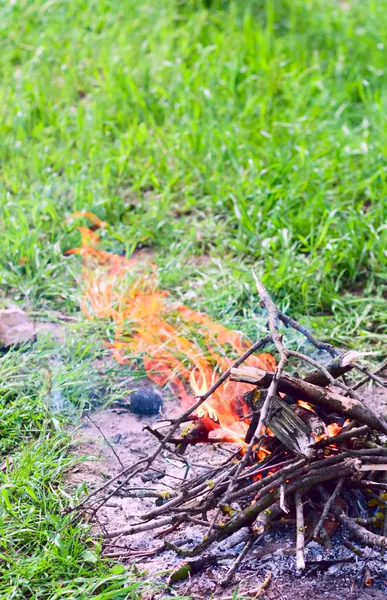 stock image Fire on nature