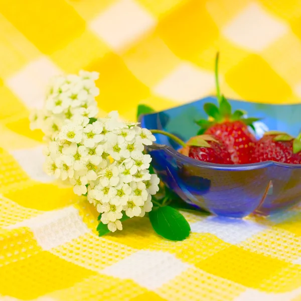 Bloemen- en strowberry — Stockfoto
