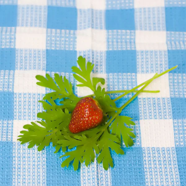 Erdbeere und Pflanze auf Stoffhintergrund — Stockfoto