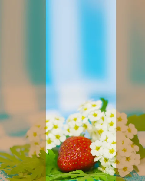 草莓和织物背景上的花 — 图库照片