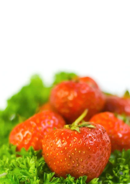 Närbild jordgubbe på blad — Stockfoto