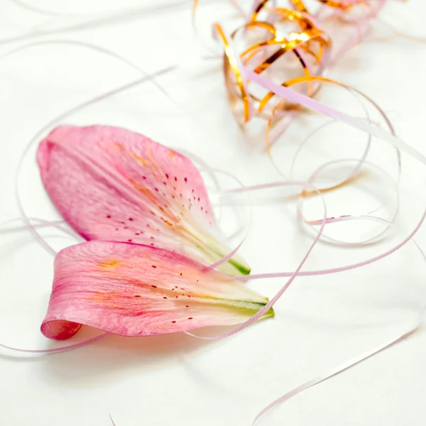 ピンクの花の花弁 — ストック写真