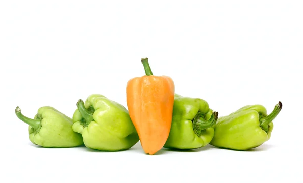 Övriga-paprika i isolerade på vit — Stockfoto
