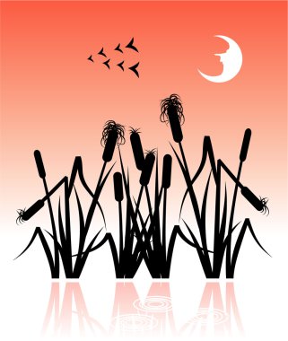 The reeds clipart