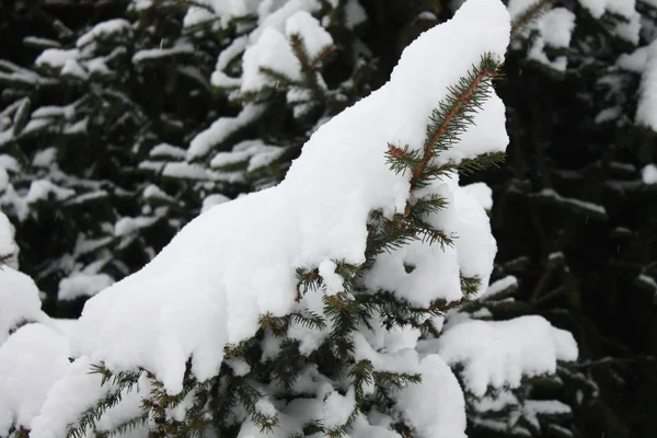 stock image Russian winter