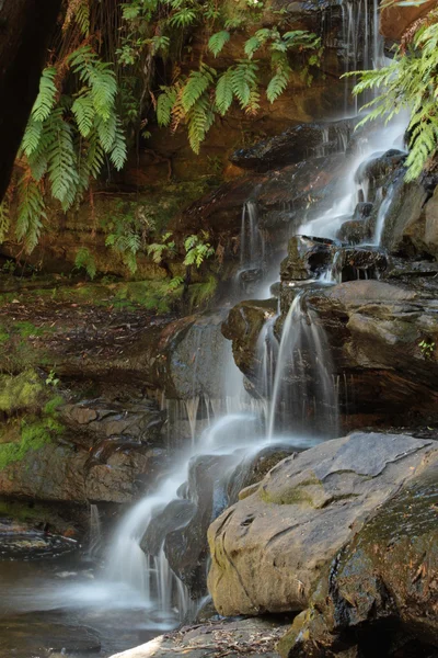 Waterfall Somersby Falls — Stock Photo, Image