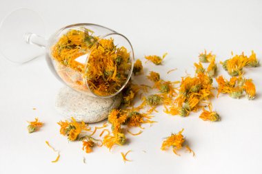 Calendula in the Glass