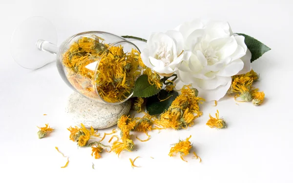 Calêndula no vidro com flor — Fotografia de Stock