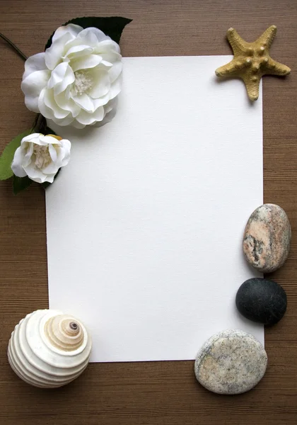 Kaya, deniz kıyısı ve flouer ile çerçeve — Stok fotoğraf