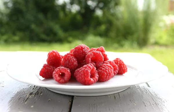 Raspberry on a Dish — Stock Photo, Image