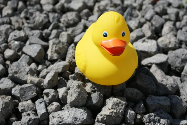 Rubber Duck at Dry Bottom — Stock Photo, Image