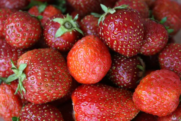 Högen av friskhet röda jordgubbar — Stockfoto