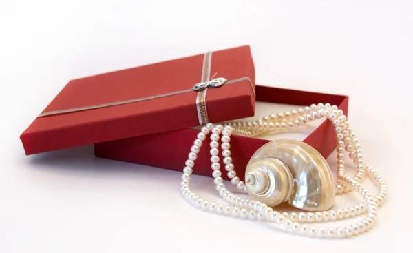 Perlový náhrdelník a mušle — Stock fotografie