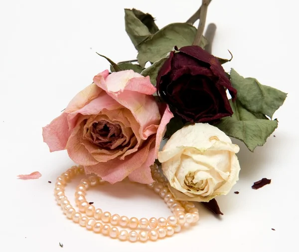 Trzy suche róże i naszyjnik z pereł — Zdjęcie stockowe