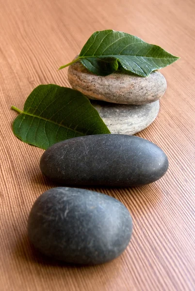 Stones and Leaves — Stock Photo, Image