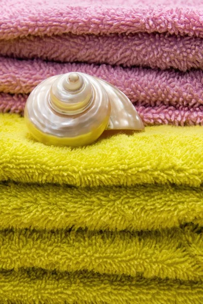 Bath Towels and Seashell — Stock Photo, Image